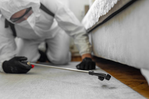 Professional Bed Bug Control technician working in Anderson, IN