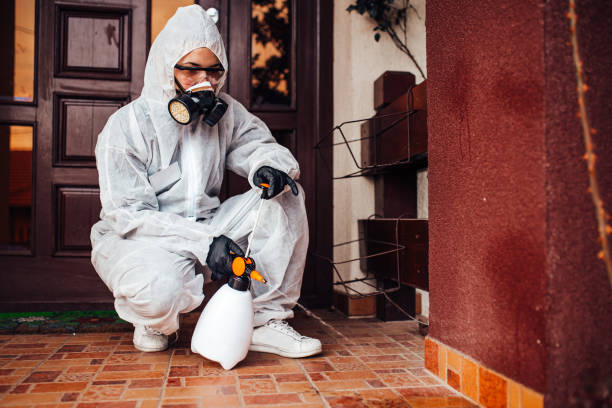 Reliable Bed Bug Control contractor in Anderson, IN by Nex Pest Control